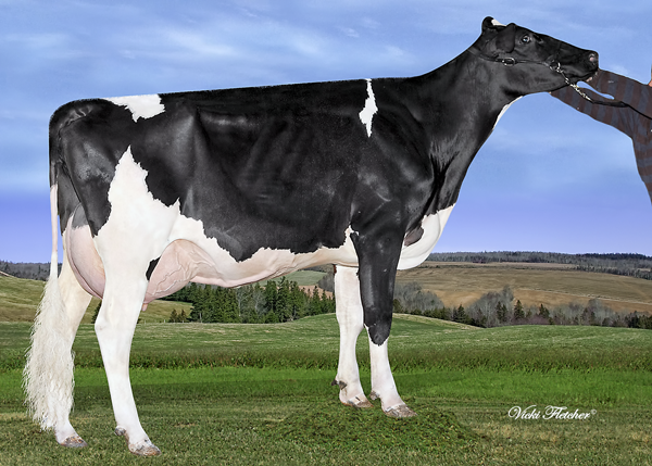 LINDENRIGHT PLANET DISCOVERY VG-86-2YR-CAN