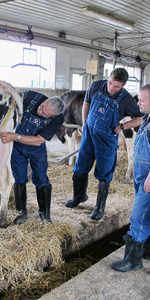 Future of Dairy Cattle Classification