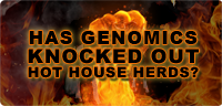 Has Genomics Knocked Out the Hot House Herds?