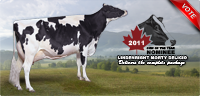 Lindenright Morty Delicio: 2011 Canadian Cow of the Year Nominee