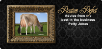 PATTY JONES: Picture Perfect!