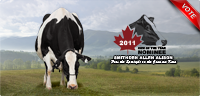 Smithden Allen Alison: 2011 Canadian Cow of the Year Nominee