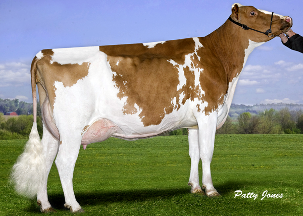 MISTY SPRINGS MB BRIGHTER RED VG-87-3YR-CAN