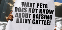 What PETA Does NOT KNOW about Raising Dairy Cattle!