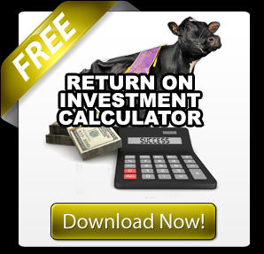 THE DAIRY CATTLE INVESTMENT CALCULATOR
