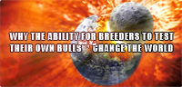 Why the Ability for Breeders to Test Their Own Bulls Will NOT Change the World
