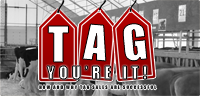 How and Why TAG Dairy Sales Are Successful