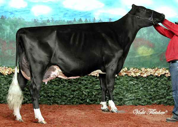 LEXIS R T HAVEN EX-95-2E-CAN   