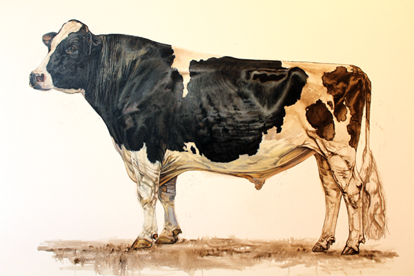 Bonnie Mohr - Ideal True Type Holstein Bull 