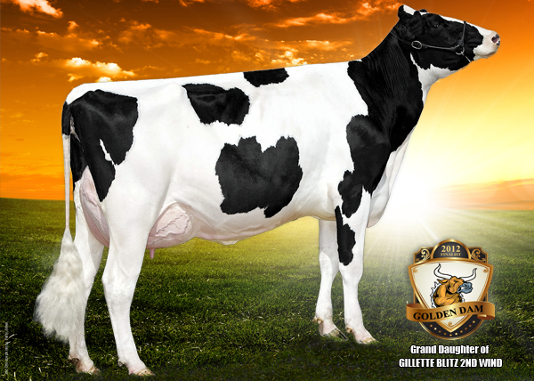 GILLETTE S PLANET 2ND SNOOZE VG-86-2YR-CAN - Grand Daughter by Planet