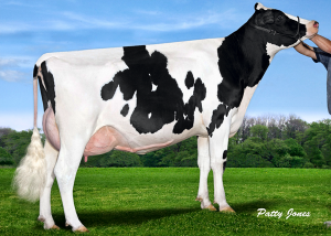 SONNEK BLT DOUBLE DIPPED VG-85-2YR-CAN  - dam of Dude