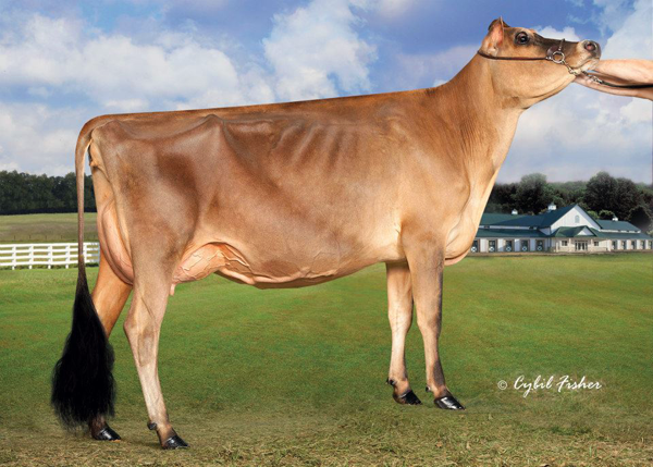 AVONLEA IATOLA VICTORIA VG-89-2YR - owned by River Valley Dairy