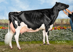 EASTSIDE LEWISDALE GOLD MISSY EX-95-CAN - 3rd dam of lot 31