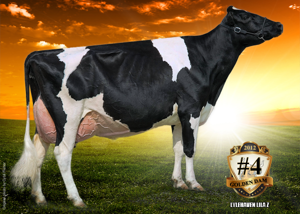 LYLEHAVEN LILA Z EX-94-CAN 13*