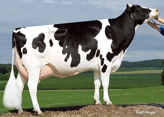 SANDY-VALLEY OUTSIDE ARA now EX-93