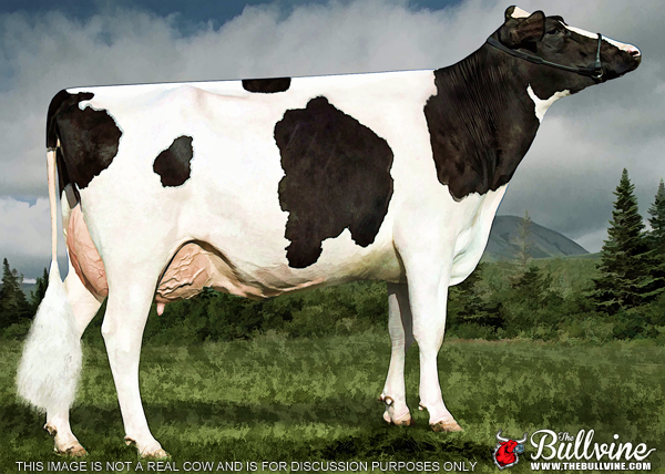 The Bullvine Total Performance 2 Yr Old Cow