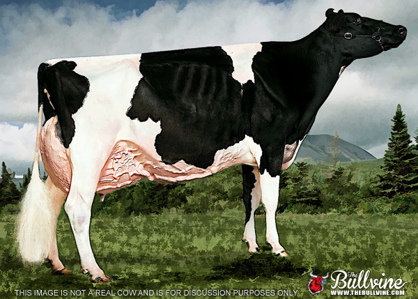 The Bullvine Holstein Mature Model Cow