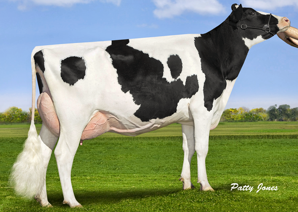 OCONNORS PLANET LUCIA VG-86-2YR-CAN Daughter of Lilac #1 LPI Cow in Canada