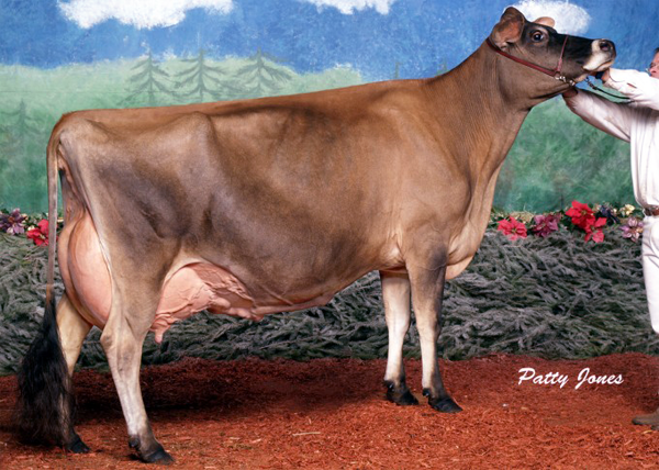 JIF Little Minnie EX-96 4E All-Canadian Mature Cow 2002 & 2004 All-Canadian Champion Cow 2002