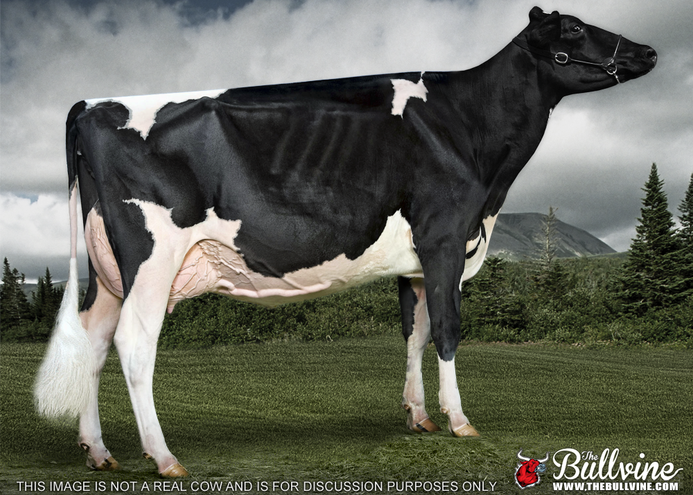 Programs like Adobe Photoshop have made it possible for breeders to tell what is real and what is fake.