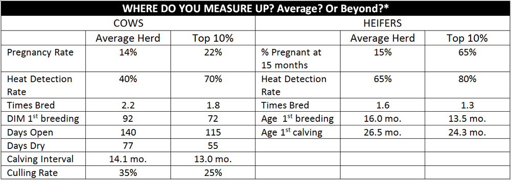 measure up preg rates