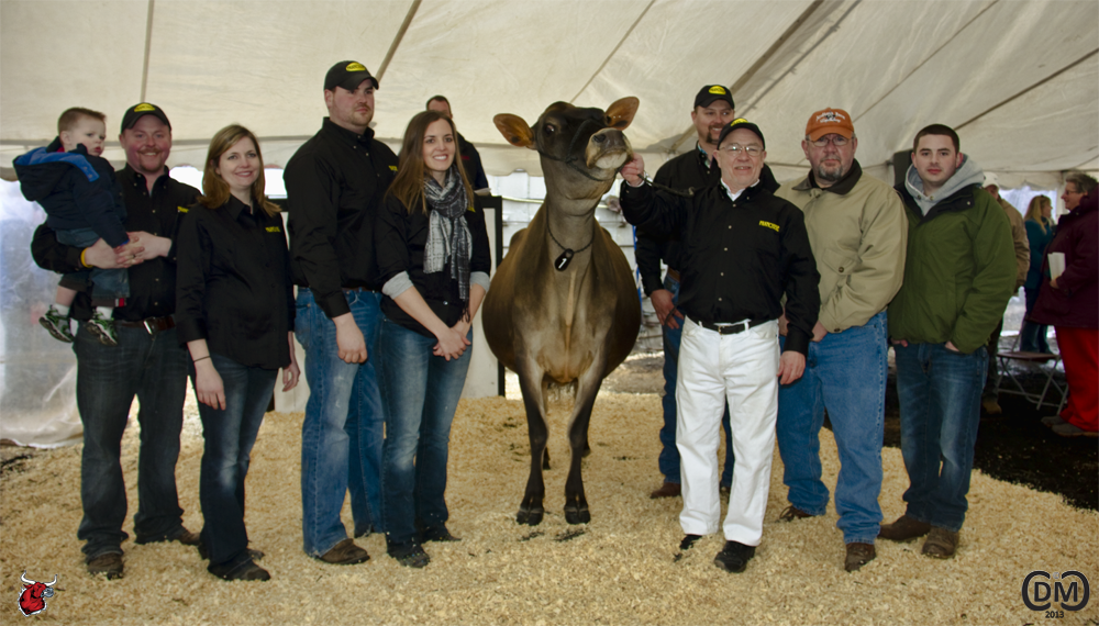 Front Row - Wyatt, Dusty and Nicole Eaton, Catlin and Aaron Eaton, Word Record Selling - Page-Crest Excitation Karlie, Gene Henderson, Purchasers Areathusa Holsteins and Jerseys.  Back Row: Chris Hill, and Norm Nabholz (behind Aaron's head)