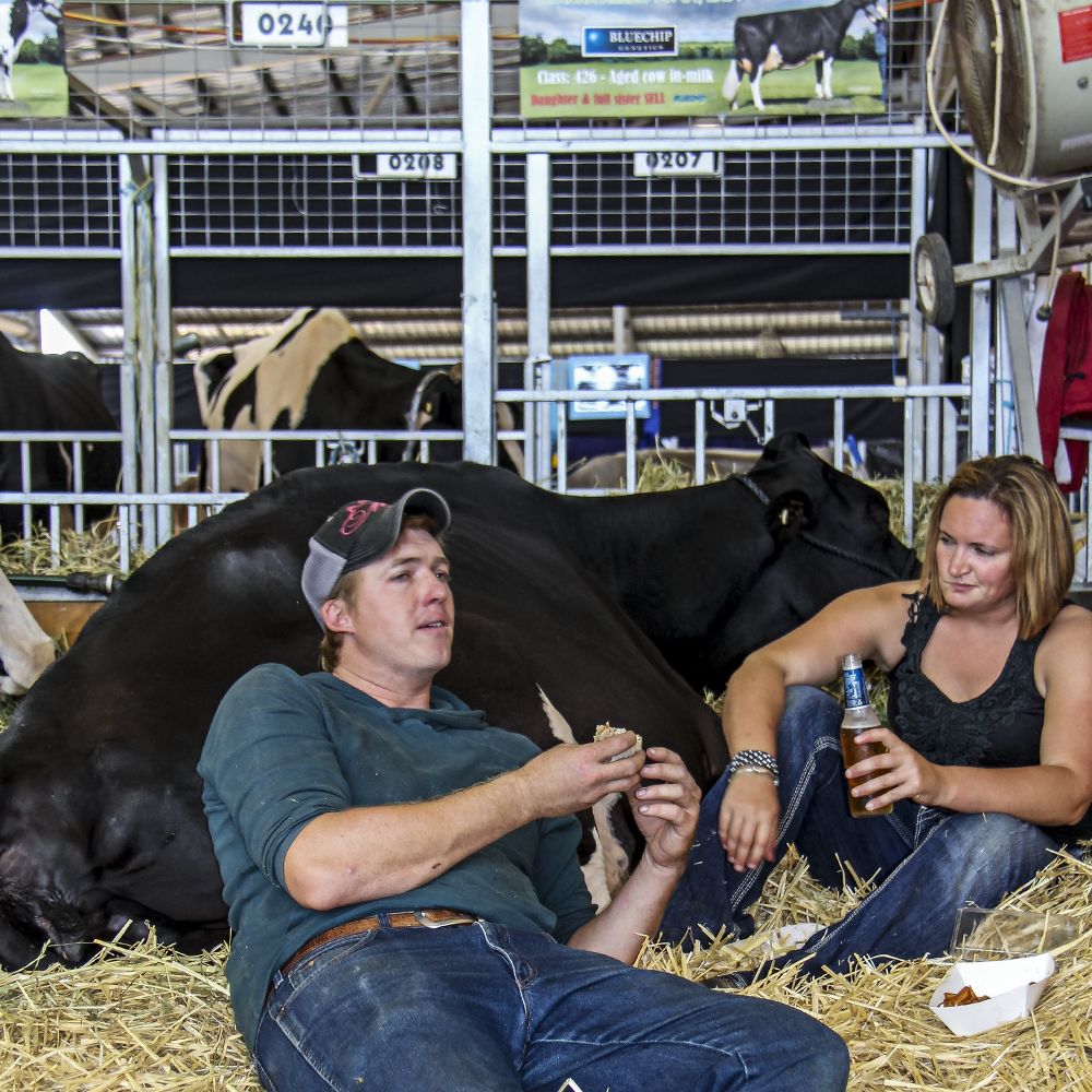 Katie Kearns and Kelvin taking a much earned break after the show at the recent International Dairy Week