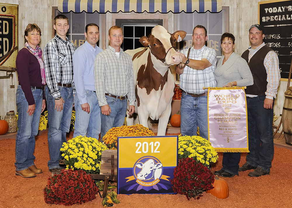 Whitdale D Hvezda Sky  Reserve All American as a fall calf and Reserve Junior Champion at Madison last year and All American as a Yearling