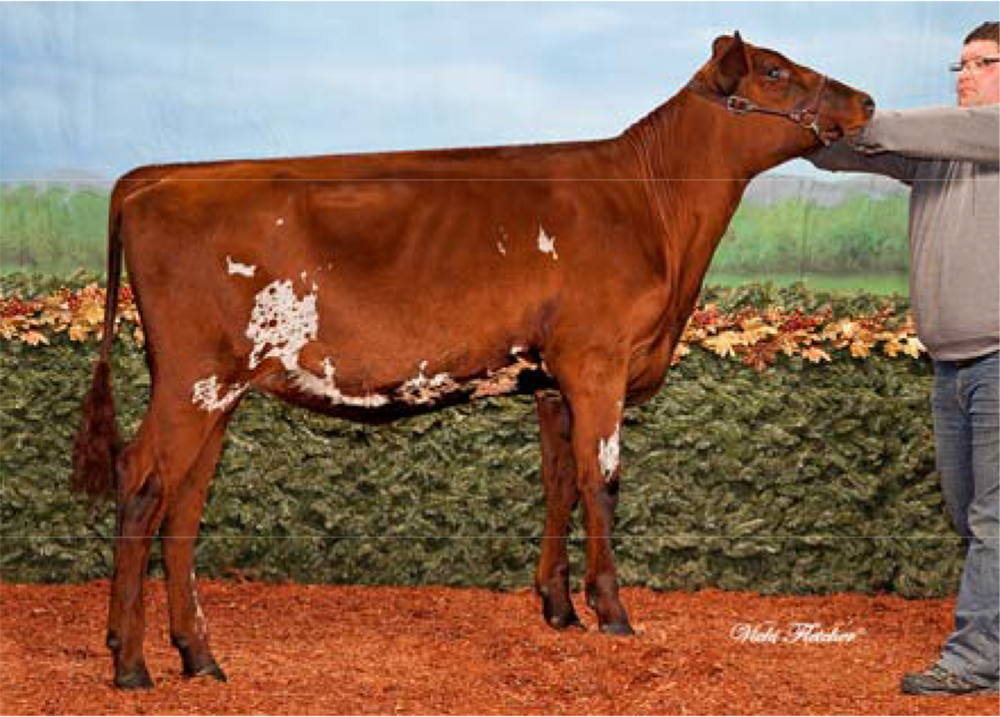 Bavaroise Burdette Rihanna Ferme Bavaroise, Canada