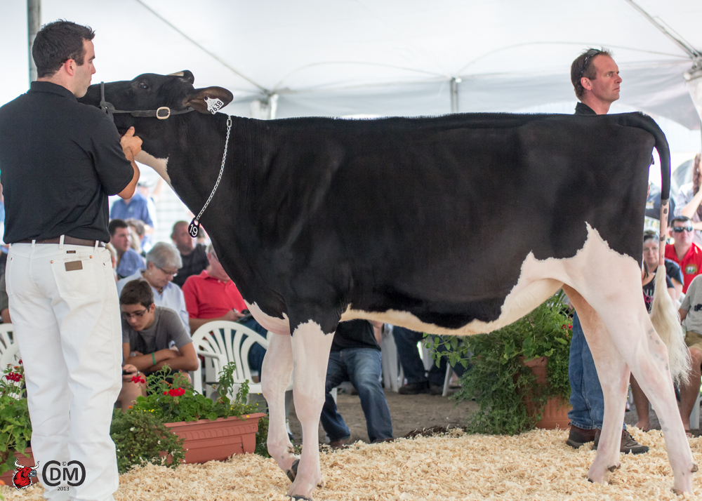 Cameron-Ridge Atwood Beauty sells for $62,000