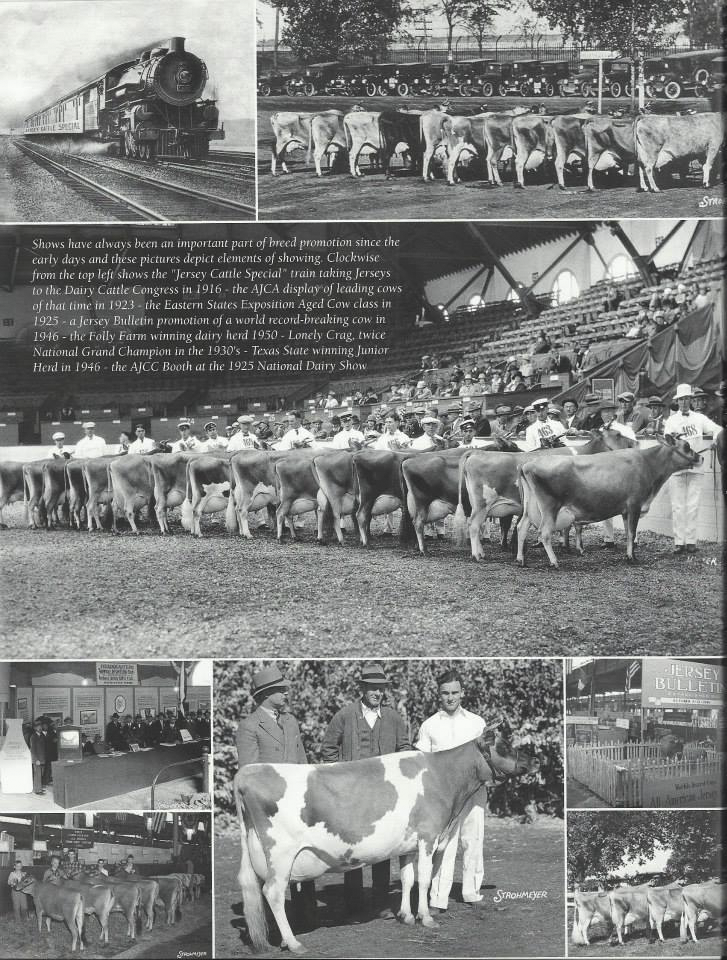 Showing in the first half of the 20th Century (A page from the book)