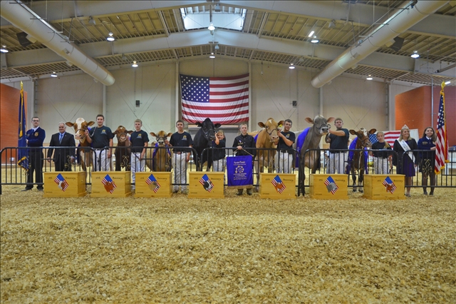 Supreme Champion lineup for the 10th annual Premier National Jr. Events at the 2013 All-American Dairy Show in Harrisburg. (L-R): Pennsylvania FFA President Christopher Toevs; Agriculture Secretary George Greig; Red & White Grand Champion and exhibitor Cyrus Conrad of Sharon Springs, N.Y.; Milking Shorthorn Grand Champion and exhibitor Treven Andrews, Mansfield, Pa.; Jersey Grand Champion and exhibitor Patrick Youse, Ridgely, Md.; Supreme Champion, the Holstein, and exhibitor Chase Savage, Union Bridge, Md.; Grand Champion Guernsey and exhibitor Marshall Overholt, Big Prarie, Ohio; Grand Champion Brown Swiss and exhibitor Jesse Hargrave, Heuvelton, N.Y.; Grand Champion Ayrshire and exhibitor Jordan Helsley, Roaring Spring, Pa.; PA Dairy Princess Maria Jo Noble, Gillette, Bradford Co.; and Maryland FFA Vice-President Maegan Olson. (Photo by All-American Dairy Show)