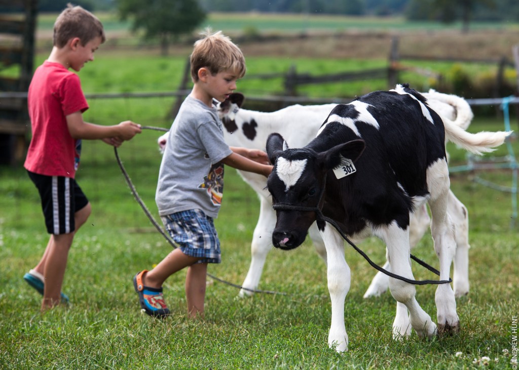 The passion for dairy farming can start at a young age, but with out a good succession plan, that passion can quickly be lost.