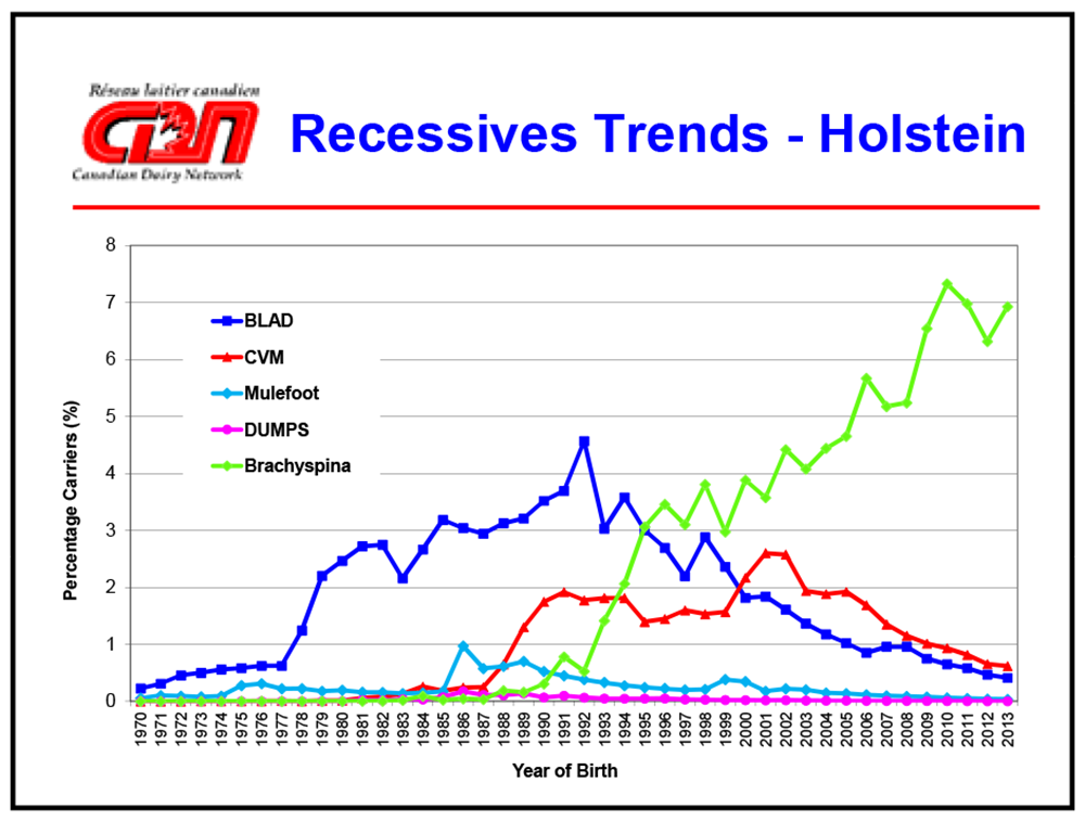 recessives trends - holstein