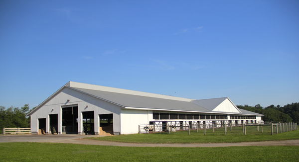 Heifer facilities at Arethusa Farm Dairy