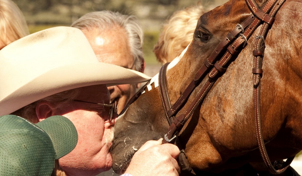 APphoto_Santa Anita Horse Racing