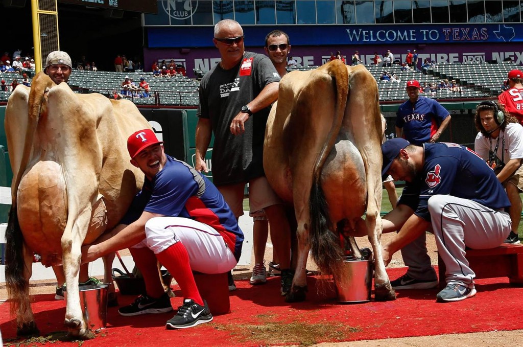pc140608cowmilkingbaseball9a_8b88f5543c1e3f57e54d7317da344ec4.nbcnewsux1360900[1]
