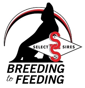 breeding to feeding