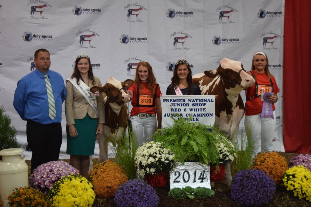 Junior Champion: Country-Path Ab Hunter-Red (Absolute) Exhibited by: Katelyn Nolt, Canton, PA  Reserve Junior Champion: Glad-Ray-K Allstar-Red (Contender) Exhibited by: Kayla Umbel, Emmitsburg, MD