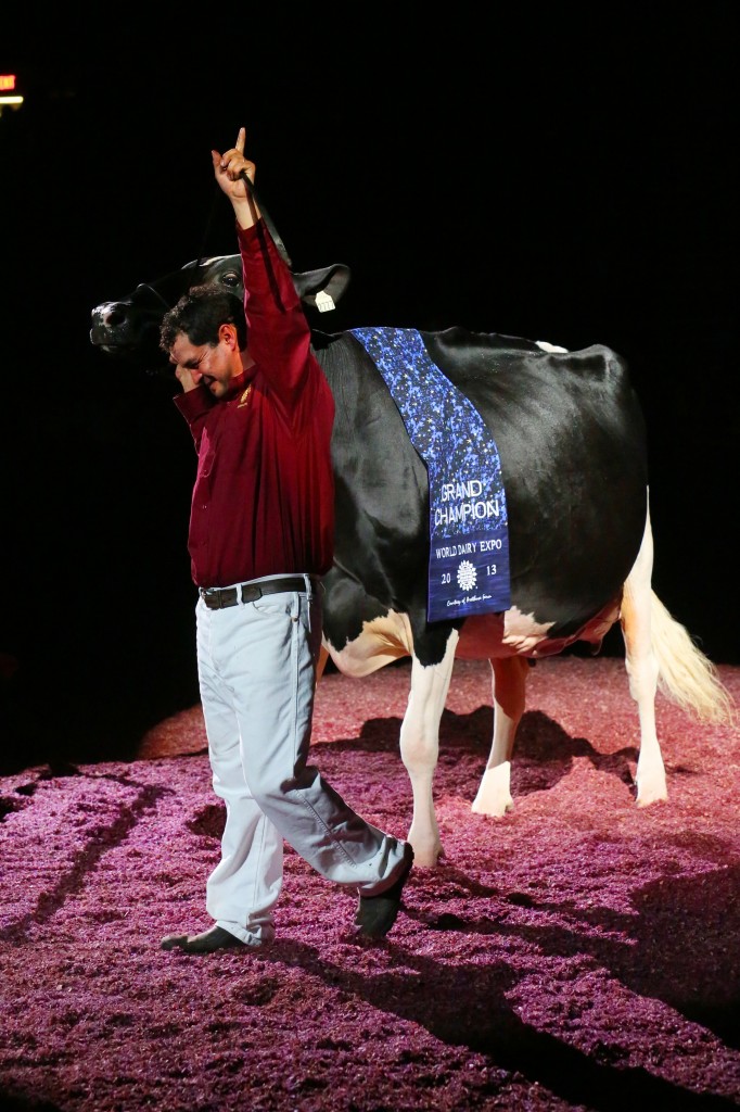 2013 World Dairy Expo Supreme Champion