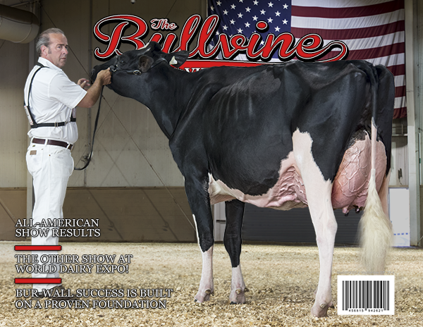 Bullvine Cover 09-20-2014-600