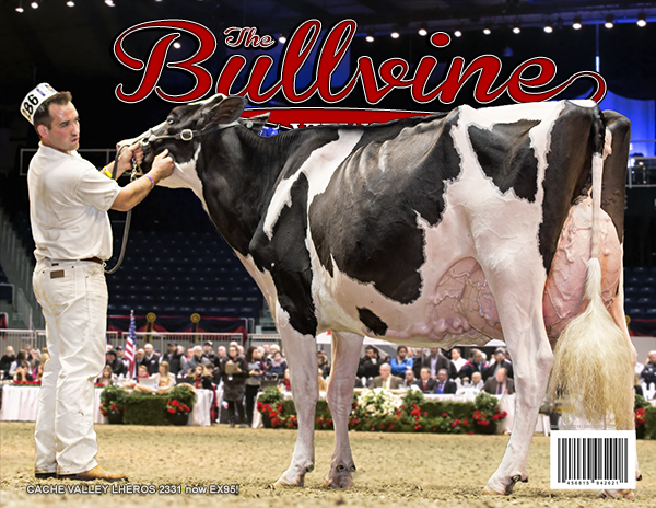 Bullvine Cover 12-20-2014-600