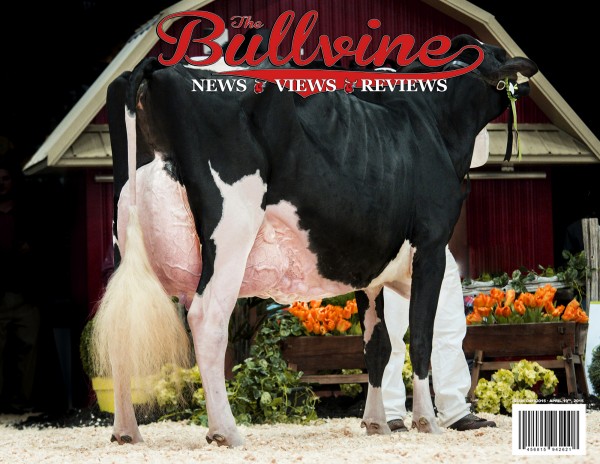 Bullvine Cover April19 2015