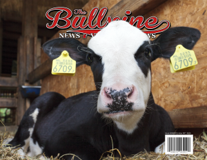 Bullvine Cover 05-30-2015
