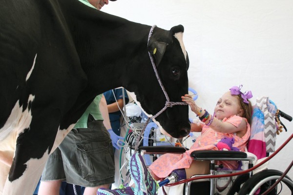 This past week the family and friends of Reese, brought her favorite cow, Pantene , to come and see her and help her through her healing process.