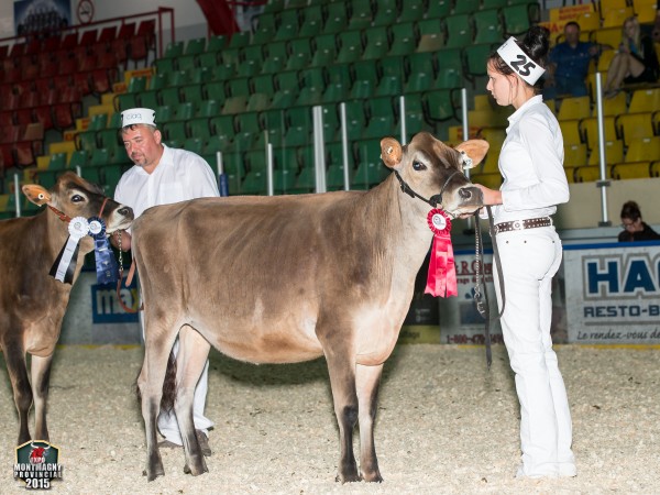 Josclaud Ipod Touch 1st place Summer Yearling Ferme Josclaud 