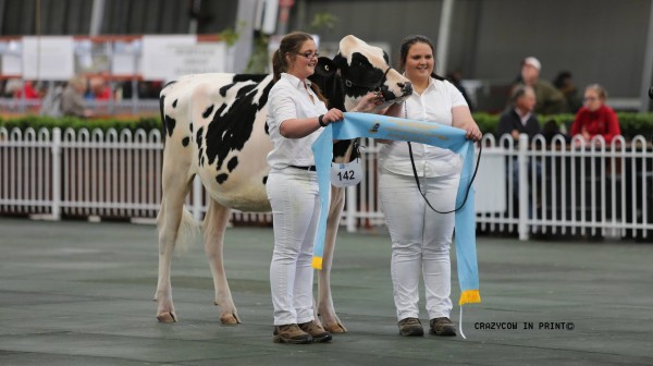 Katie and Renee Anderson with their Senior Champion and Supreme Champion heifer, Bluechip Toffees Apple-RC. 