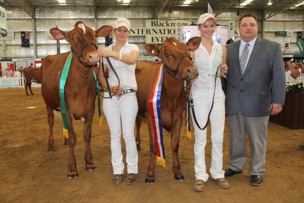 Llandovery LB Betty (right) started the day off for the Hayes family when she won Junior Champion. Reserve was Glenbrook Poppy 6 (Glenbrook Illawarras).
