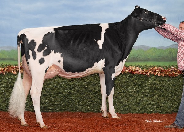 Fraeland After Bash VG87-2YRS-Can sold by Fraeland Farms to Ferme Pierre Boulet. 
