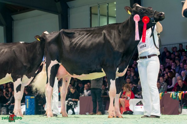Holst. Papaux Atwood PASSION 1st place Class 10 - Swiss Expo Holstein Show 2015 Comex Currat Papaux Piller, 1697 Les Ecasseys